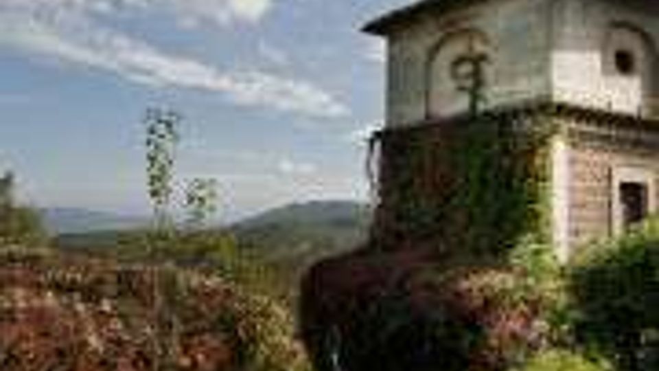 1254-99d8dbd0c53706385cf8bfb5a9e36233jpg