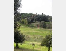 560-99058dcc1c7193f985a15dfe4c52df33jpg