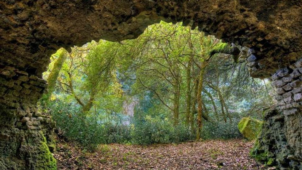 Veduta dall’interno di una grotta o rudere in pietra con ampia apertura ad arco irregolare, affacciata su un sottobosco fitto. All’esterno si vedono alberi e vegetazione densa su un terreno coperto di foglie.