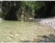 Ruscello dalle acque limpide e poco profonde in una gola rocciosa, con fondale di ciottoli visibili e una riva ghiaiosa. Pareti di roccia e fitta vegetazione alberata incorniciano il corso d’acqua.