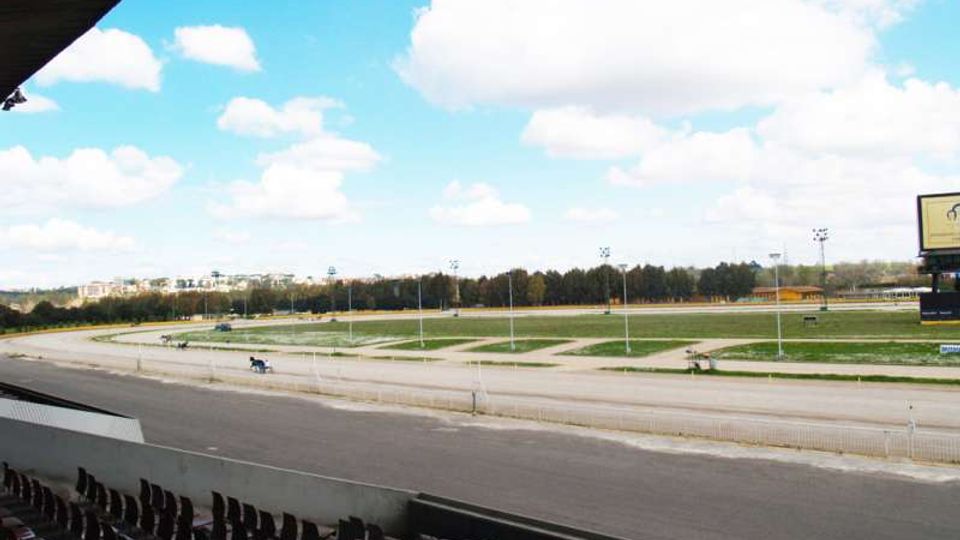 Tribuna coperta con file di sedili affacciata su un ippodromo, con pista ovale e ampi prati interni attraversati da vialetti. Sullo sfondo si vedono alberi, pali dell’illuminazione e un grande tabellone sotto un cielo azzurro con nuvole.