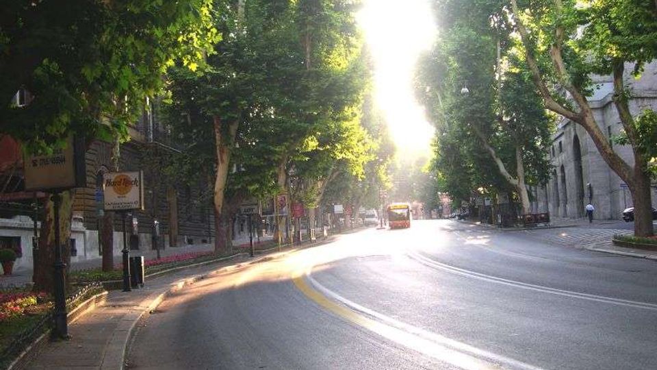 Ampio viale urbano curvo fiancheggiato da alti alberi e marciapiedi, con edifici in muratura ai lati. La luce del sole filtra al centro della strada, dove si intravede un autobus in lontananza e segnaletica stradale lungo il percorso.