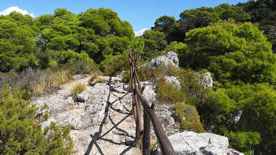 576-5c80fcd4721737100161f04c8f81c1cdjpg