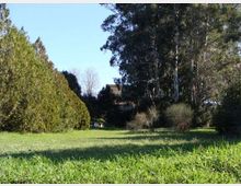 51791-photo-panoramica2-jpgjpg