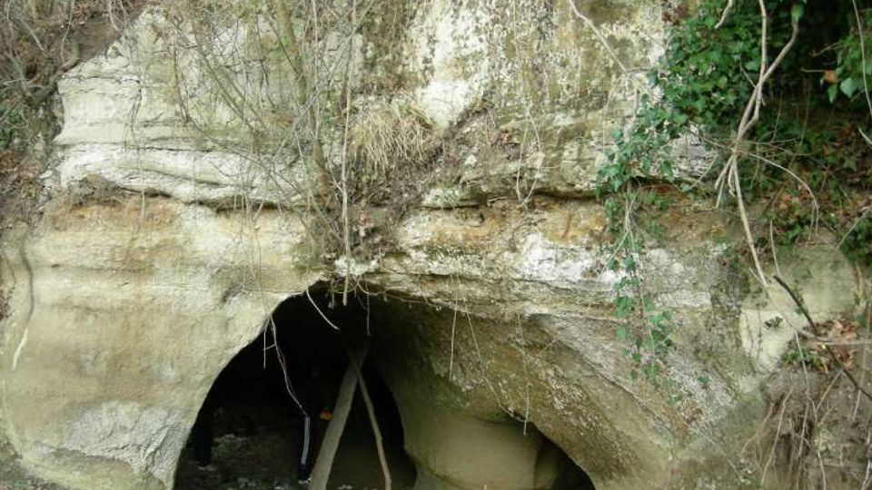 Ingresso di una piccola grotta scavata in una parete rocciosa chiara, con apertura bassa ad arco e sostegni in legno all’interno. Vegetazione e rami secchi ricoprono la parte superiore della roccia e il terreno davanti è coperto di foglie.