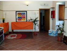 919-96c456f9ea6803726c59cb2f631e3e0djpg