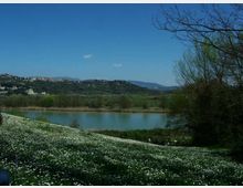 52114-photo-nazzanosultevere05-jpgjpg