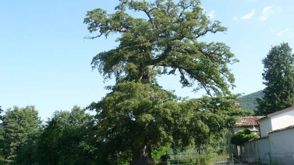 56848-photo-ok-ri-amatrice-01-jpgjpg