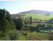 178-98d90f85f5ecc190f421768dbf38876fjpg