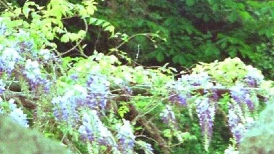 56823-photo-227263-1824896459892-5078179-n-jpgjpg