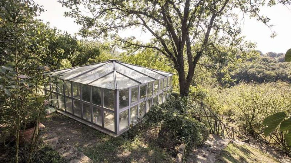 58518-photo-jac-3126-jpgjpg