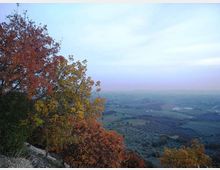 Panorama da un punto elevato su una valle collinare con campi e boschi, sotto un cielo velato. In primo piano, alberi con foglie autunnali arancioni e gialle incorniciano la vista.
