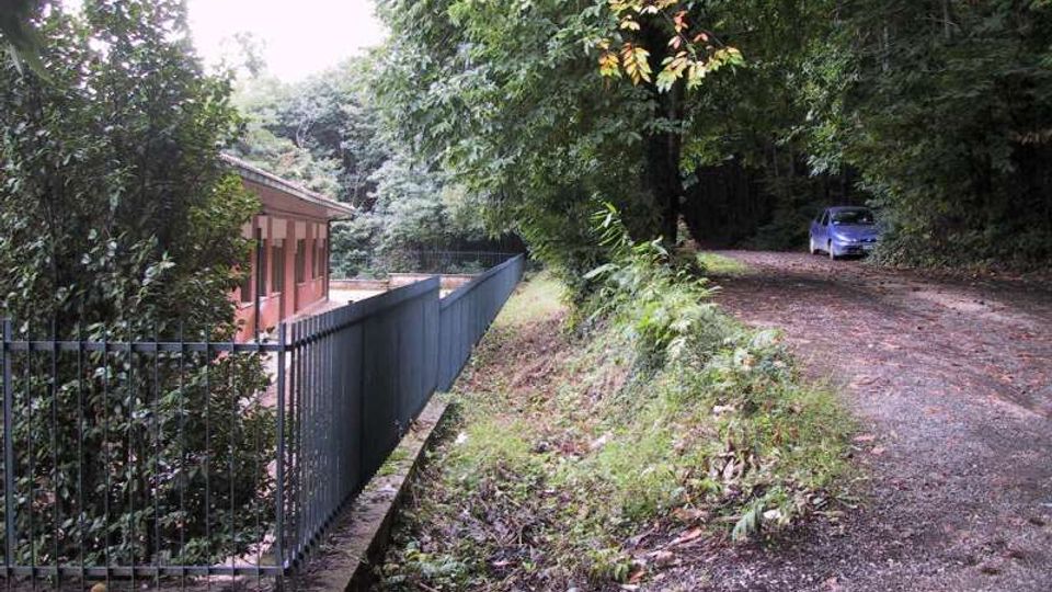 Strada sterrata in un’area boschiva con alberi fitti e sottobosco, affiancata da un recinto metallico che delimita un edificio basso con tetto spiovente. La carreggiata segue una leggera curva e prosegue verso una zona ombreggiata tra la vegetazione.