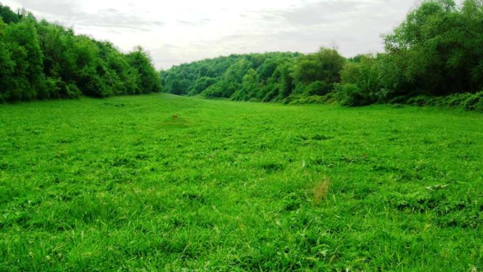 51837-photo-un-incanto-si-sente-solo-il-suono-della-natura-jpgjpg