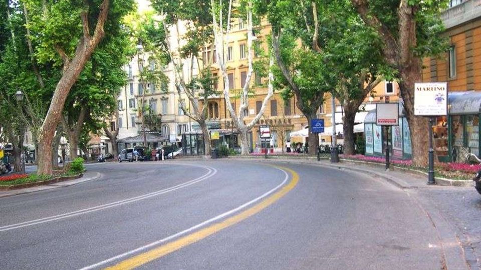 Viale urbano curvo alberato, con grandi alberi ai lati della carreggiata e aiuole fiorite lungo il marciapiede. Sullo sfondo si vedono palazzi in stile storico e vetrine di negozi con fermate e cartelli stradali.