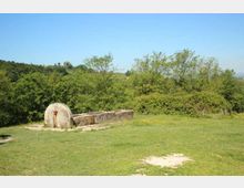 52128-photo-il-fontanile-di-colle-lungo-700x467-jpgjpg