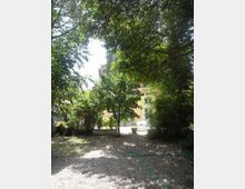 Cortile-giardino ombreggiato con ghiaia a terra e alberi e arbusti fitti; in primo piano si vede un tubo da giardino. Sullo sfondo compaiono una piccola area pavimentata con tavolino e vasi e la facciata di un edificio con finestre.