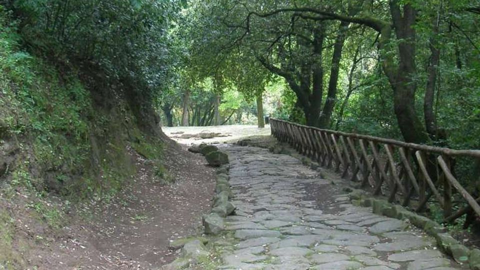 Sentiero nel bosco con pavimentazione in grandi pietre irregolari, affiancato da una staccionata in legno sul lato destro. Alberi fitti e vegetazione ombrosa circondano il percorso, che curva leggermente in lontananza.