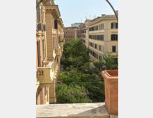 Veduta dall’alto di una strada urbana alberata tra palazzi residenziali in stile classico, con facciate color pastello, persiane scure e balconi. In primo piano si vede un parapetto in pietra e un vaso rettangolare in terracotta.