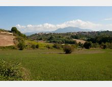 52011-photo-gattaceca-jpgjpg