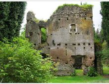 52195-photo-giardino-di-ninfa-27-jpgjpg