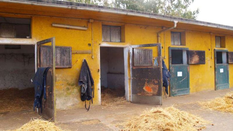 Fila di box per cavalli in una scuderia, con facciata gialla e porte in legno e metallo aperte su piccoli ambienti interni. Sul pavimento esterno ci sono mucchi di paglia e alcune giacche appese alle ante, con alberi visibili sullo sfondo oltre il tetto.