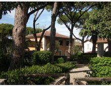 437-8605cdca730f1d6e8fd34142f07af06bjpg