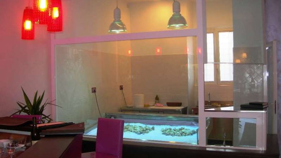 471-db0ba8563b96fbc357862d8ab29fd1c0jpg