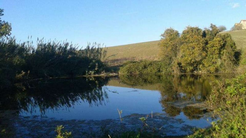 51839-photo-12674407-920368888070959-503548794-n-0-jpgjpg