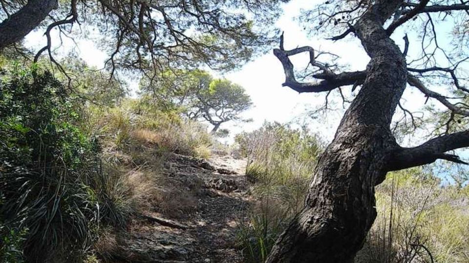 576-e54bae12c7399f0342c4cf619d45eecejpg