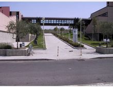 Viale pedonale pavimentato tra edifici moderni, fiancheggiato da prati, alberi in aiuole e lampioni. In fondo al percorso un passaggio sopraelevato vetrato collega due strutture, con segnaletica informativa al centro.