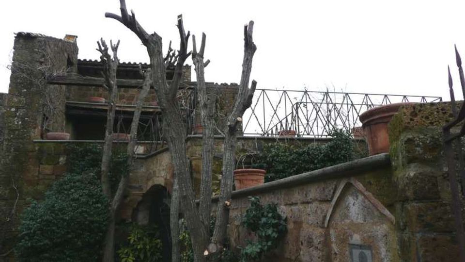 Cortile in muratura con alberi potati senza foglie e pareti di pietra coperte di edera, con grandi vasi in terracotta. Sullo sfondo si vedono un edificio rustico in pietra e una passerella o struttura metallica sopraelevata.