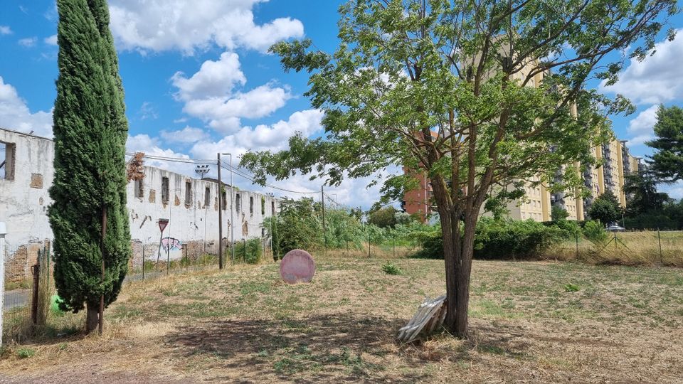 Area verde incolta con erba secca e terreno polveroso, con un cipresso alto a sinistra e un grande albero frondoso al centro. Sullo sfondo si vedono un lungo edificio bianco degradato con finestre murate e palazzi residenziali, oltre a pali e cavi sotto un cielo azzurro con nuvole.