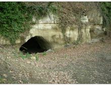 Ingresso ad arco di una grotta o cunicolo scavato in una parete di roccia chiara, parzialmente coperta da vegetazione e rampicanti. Davanti si vede un’area di terreno con foglie secche e un sentiero sterrato in ambiente boschivo.