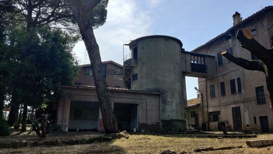 58053-photo-img-20210616-100218-jpgjpg