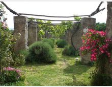 312-beaaf0e09e0e1dccf2a9a6ff651b4210jpg