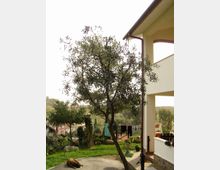 585-3c9bfde3a5cdf0d7241a2e88d1113c2cjpg