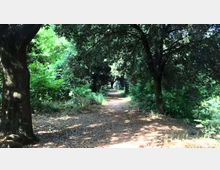 51915-photo-maxresdefault-jpgjpg