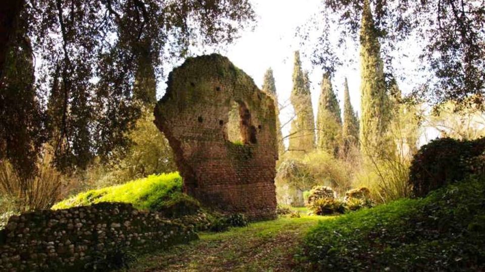 987-32379e5c95e3df944ec65dab46afd33ajpg