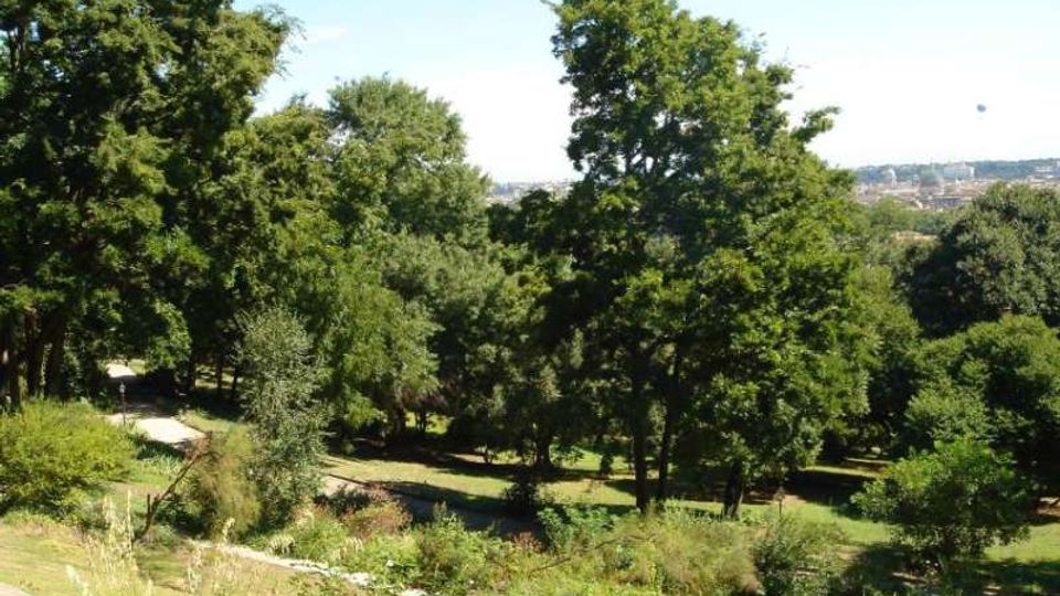 Vista panoramica di un parco collinare con ampi prati e alberi ad alto fusto, attraversato da sentieri. Sullo sfondo si intravede una zona urbana in lontananza sotto un cielo sereno.