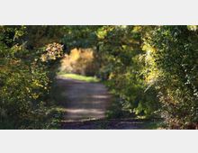 52034-photo-sentiero-del-redentore-jpgjpg