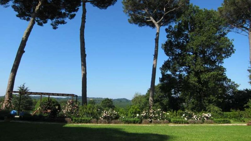 Giardino con ampio prato verde e aiuole fiorite, dominato da alti pini a chioma larga e altri alberi. Sullo sfondo si vedono colline boscose sotto un cielo limpido, con una piccola struttura tipo pergolato sul lato sinistro.