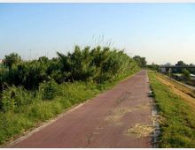 Pista ciclopedonale asfaltata rettilinea che attraversa un’area pianeggiante con vegetazione alta e cespugli fitti ai lati. A destra si vede un canale arginato e, più in lontananza, un ponte sotto un cielo sereno.