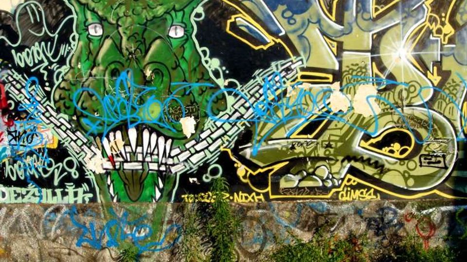 Muro esterno in cemento coperto da graffiti colorati, con un grande disegno di una testa di drago verde e lettering stilizzato su sfondo scuro. Alla base del muro c’è una fascia di cemento grezzo con erbacce e vegetazione che cresce lungo il bordo.
