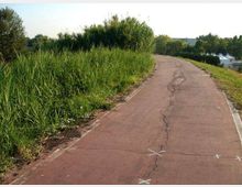 Pista asfaltata rossastra che curva dolcemente, con crepe e segni bianchi sul manto stradale. Ai lati ci sono erba alta e cespugli, con alberi sullo sfondo e alcune strutture bianche visibili in lontananza.