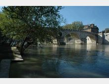 1107-9c21246a011c0830064819af106617a9jpg