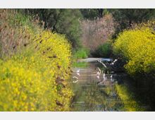 52080-photo-foto-01-jpgjpg