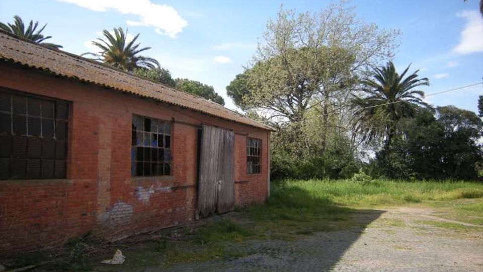 Edificio basso in mattoni rossi con tetto spiovente in tegole, finestre a riquadri scuri e grande portone in legno su un cortile pavimentato. Intorno si vede un’area verde con alberi e palme sotto un cielo azzurro con alcune nuvole.