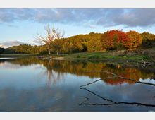 52524-photo-lago-di-giulianello-2-jpgjpg