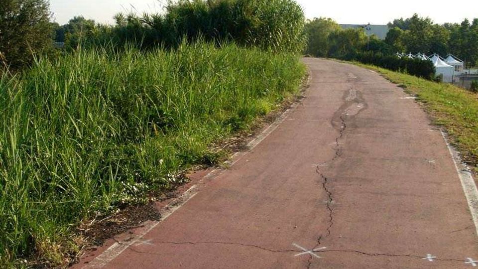 Pista asfaltata rossastra che curva dolcemente, con crepe e segni bianchi sul manto stradale. Ai lati ci sono erba alta e cespugli, con alberi sullo sfondo e alcune strutture bianche visibili in lontananza.